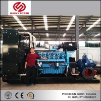 Dewatering Mining Pump