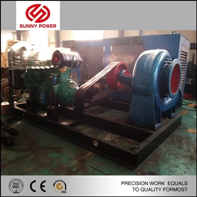 Flood Draining Water Pump