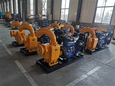 Self Priming Water Pump Outflow 300tons